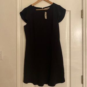 NWT Ann Taylor Loft black ruffle sleeve and ruffle at bottom